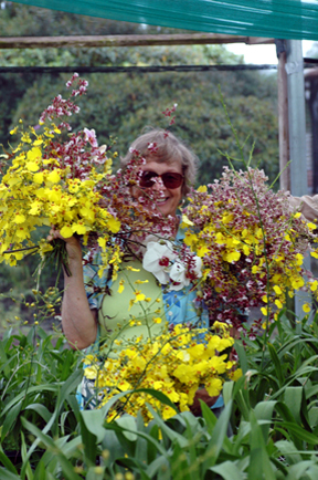 Hawaii Orchids at Vorobik Workshop